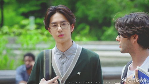 叶龙唐总是什么电视剧，叶龙唐总是什么电视剧无主之城