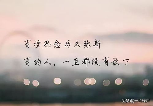 往事不堪回首，往事不堪回首下一句