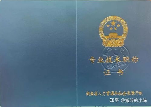 小学教师职称评定条件及流程