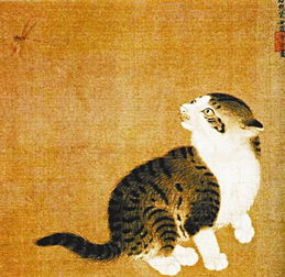 猫斗小古文翻译，猫斗小古文翻译及注释