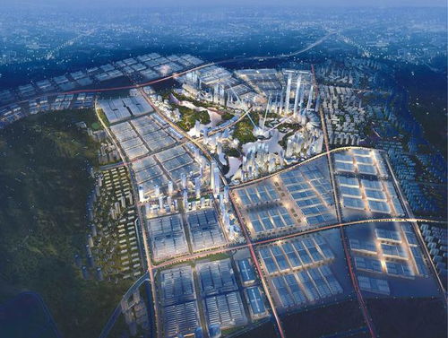 重庆华南城批发市场主要是卖什么