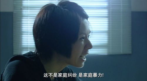 婚内家暴犯法吗