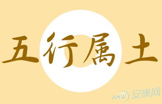 婧字五行属什么，靖字五行属什么