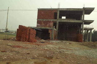 违建房屋拆迁有补偿吗