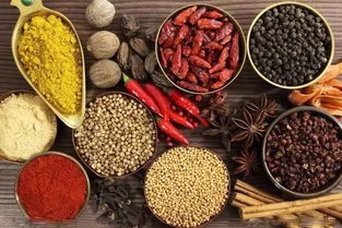 佐料的读音是什么