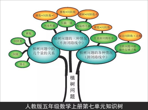 五年级下册第三单元数学思维导图怎么画