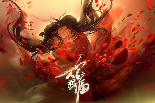 天官赐福谢怜为什么万箭穿心