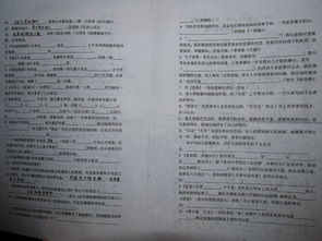 高中语文文学常识