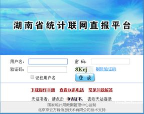 统计联网直报平台可以手机登录吗