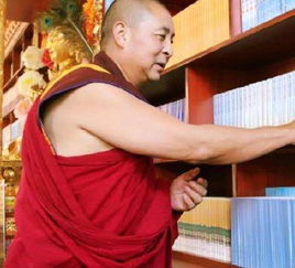 智光大师住在何处