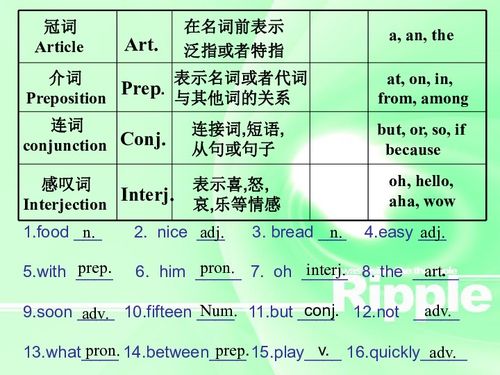 词的知识，词的知识点