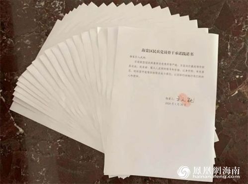 承诺践诺书，承诺践诺书2023