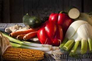 蔬东坡，蔬东坡系统一套多少钱