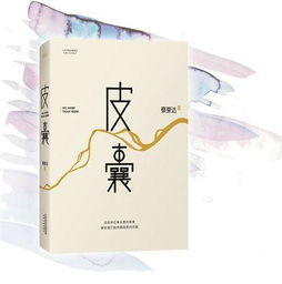 皮囊这本书讲的是什么