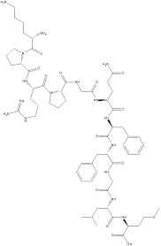 substance什么意思