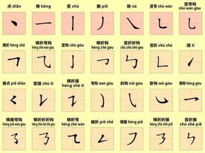 本字的笔顺，本字的笔顺笔画
