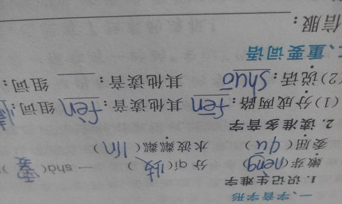 “脏”有哪两个读音,怎么组词?