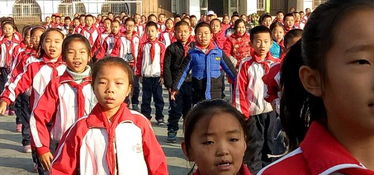 匹部首，匹部首查字法怎么查