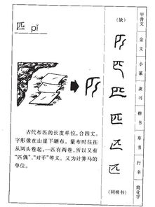 匹的部首是干什么