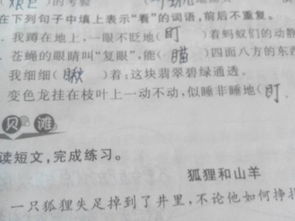 表示看的词语有哪些呢?