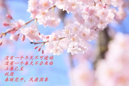 抗击疫情唯美句子