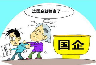 国有企业是什么意思?