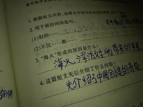 用不仅而且造句，用不仅而且造句怎么造