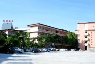 东莞开放大学上班时间