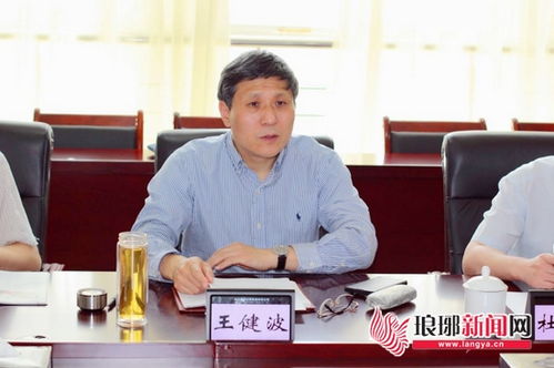 临沂华阳国投物流园是国资委的吗