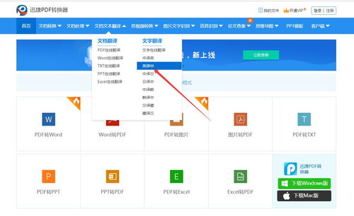 怎样在线将英文语音翻译为中文文字?