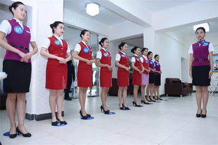 空乘学校，空乘学校特点