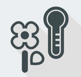 ture怎么读，ture怎么读音标