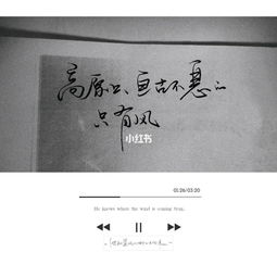 风从哪个方向来