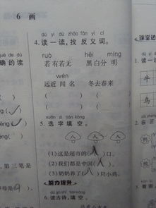 普通的近义词，普通的反义词