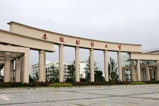 安财毕业一般去哪里就业