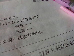 愤怒的反义词是什么?