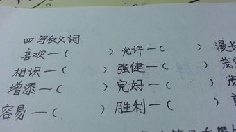 增添的反义词是什么?
