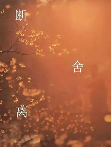 佛曰人生有八苦原句是?