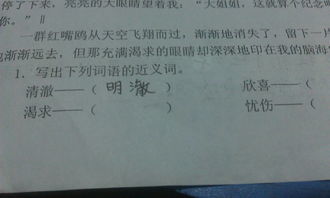 明确的近义词是什么