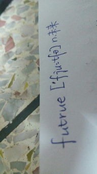 ture用英语怎么说