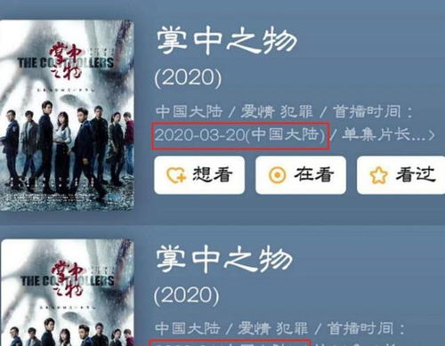 掌中之物小说简介(掌中之物到底讲的是什么故事)