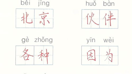 析的组词及拼音