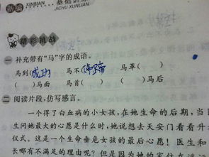 马组词有哪些词语