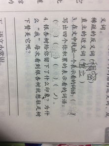 表示看的词，表示看的词语有什么