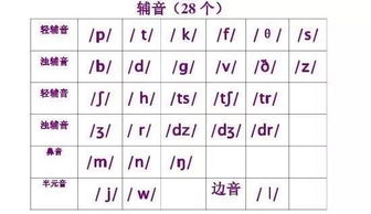 48个音标是哪四十八个怎么读