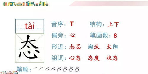 炖可以组什么词