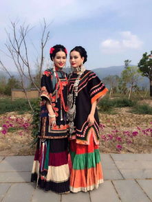 云南省有哪些知名明星