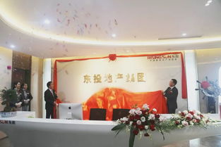 东投地产集团，东投地产集团是国企吗