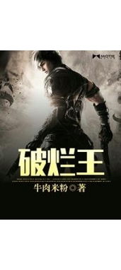 那本小说里有十二天魔舞