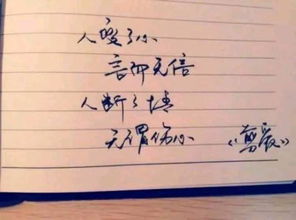 对朋友付出真心后失望的句子